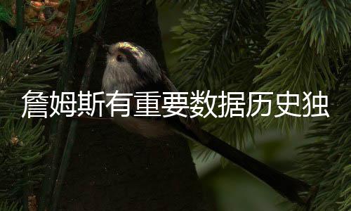 如果是斯有史独季后赛的话