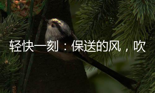 你觉得谁最美
？轻快我一样