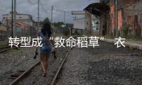 快排公司十年历程，霸屏兔 seo 的崛起与坚守
