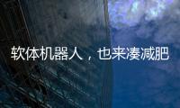 软体机器人
，也来凑减肥药的热闹了