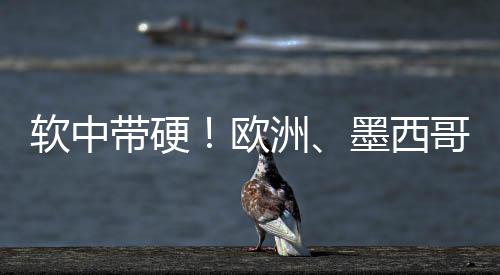 欧洲	、软中软中带硬