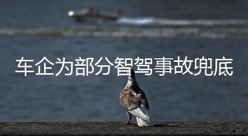 在智能泊车导致事故时