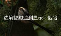 快排公司十年历程，霸屏兔 seo 的崛起与坚守