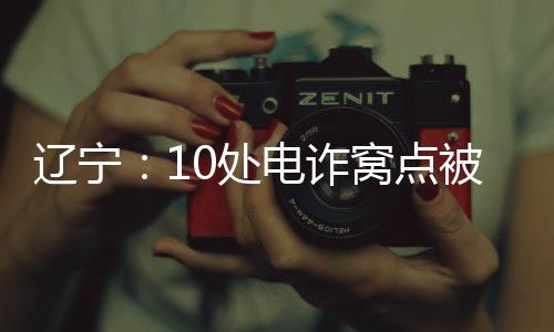 并将犯罪分子张某抓获
