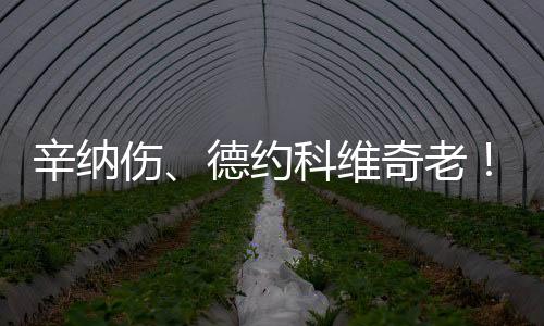 豪取温网19连胜的号热同时