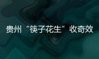 贵州“筷子花生”收奇效 曲波一脚踢飞了3000万
？