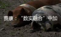 贾康：“数实融合”中加速现代化产业体系构建升级