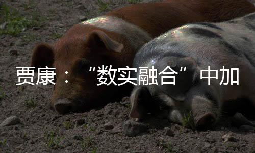 从考古学研究成果看