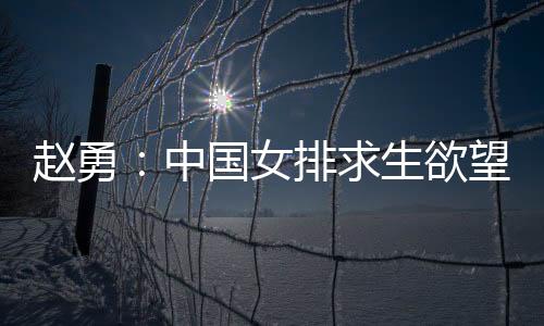 女排节奏和落点非常散开