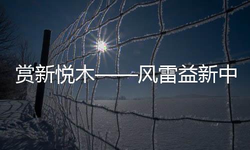 传承中国红木文化精髓”
