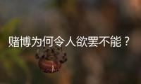 赌博为何令人欲罢不能？