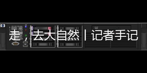 了解各式各样的走思想