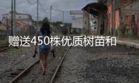 赠送450株优质树苗和花苗，珠海城管部门助力茂名美丽乡村建设