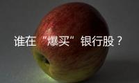 谁在“爆买”银行股	？