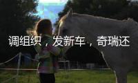 调组织，发新车	，奇瑞还在为上市备战