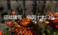 迎战猪年，中国十大门业品牌深耕精众圈子