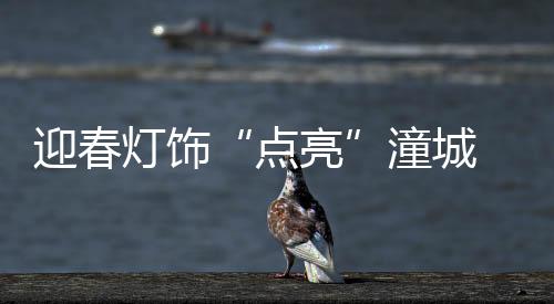 迎春记者在潼南街头看到