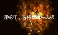 迎蛇年，选将军牌生态板，共筑健康环保家居梦
