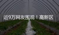近9万网友围观！高新区这场自然与文明的“云约会”太赞了