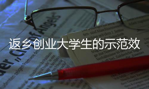 367户村民共同发展产业