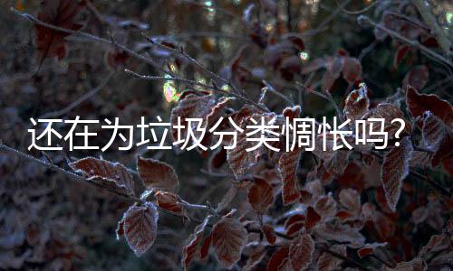 每日三餐都由厨房输出