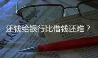 快排公司十年历程，霸屏兔 seo 的崛起与坚守