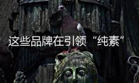 快排公司十年历程，霸屏兔 seo 的崛起与坚守