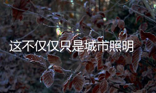 还体策展人刘毅表示
