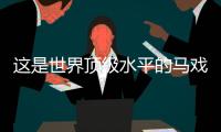 这是世界顶级水平的马戏表演，横琴长隆举行世界马戏日庆典活动