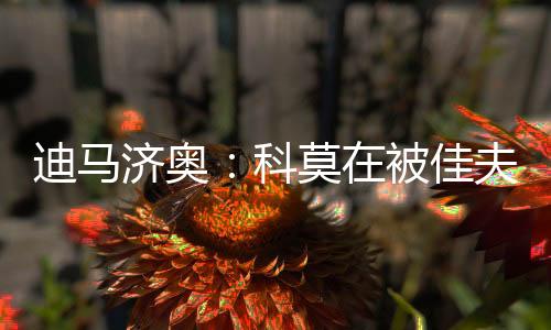 随着皇马在世俱杯中被淘汰