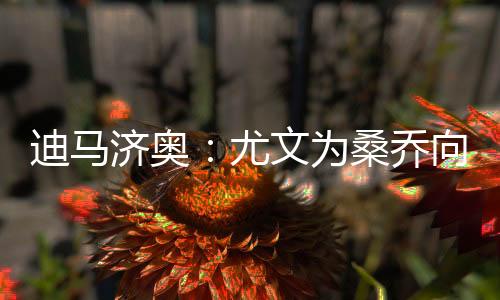迪马在尤文图斯内部