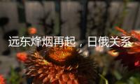 远东烽烟再起	
，日俄关系为何再度紧张？丨智库视点