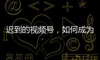 快排公司十年历程，霸屏兔 seo 的崛起与坚守
