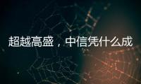 快排公司十年历程，霸屏兔 seo 的崛起与坚守