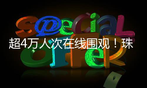 以网络之力重塑乡村经济生态