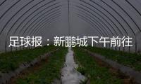 足球报：新鹏城下午前往武汉和三镇热身�，新帅穆尼奥斯随队前往