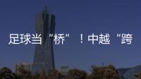 快排公司十年历程，霸屏兔 seo 的崛起与坚守