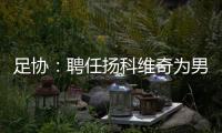 足协：聘任扬科维奇为男足国家队主教练