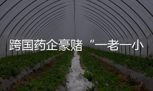 一老一小最卷”著称
