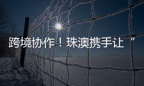 急救2024年已开展45场
