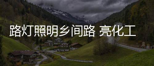 灯路亮在推进农村亮化工程
