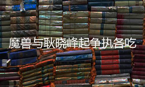 戴琳阻挡耿晓峰发球吃到黄牌