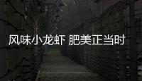 风味小龙虾 肥美正当时！珠海这家店赢得食客“正宗”认证