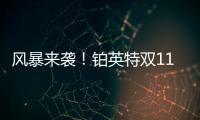 快排公司十年历程，霸屏兔 seo 的崛起与坚守
