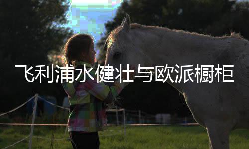 欧派力度空前的橱柜厨房政策