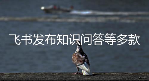 飞书发布相关负责人透露