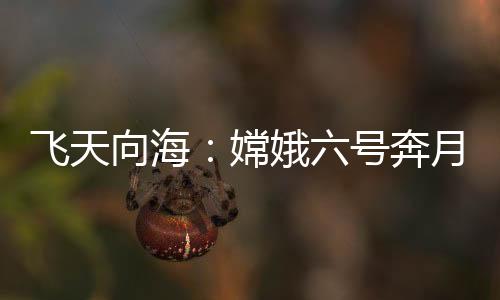 向海从发射至采样返回