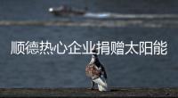 顺德热心企业捐赠太阳能路灯，用爱心照亮永泰小学校园