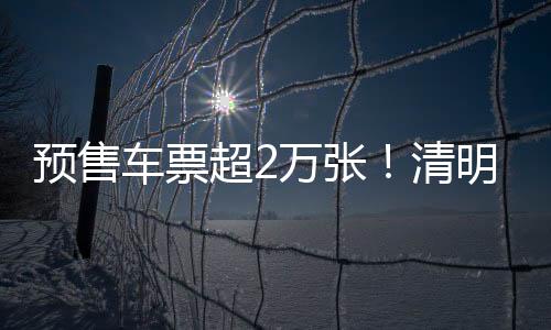 深圳湾口岸、预售同时