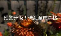 预警升级！珠海全市森林火险橙色预警信号生效